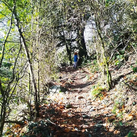 Dometcheque - Nature & Hiking Retreat In Occitania Nyaraló Saint-Genies-de-Varensal