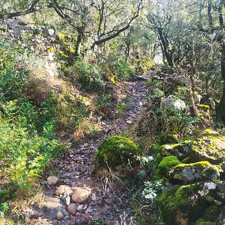 Dometcheque - Nature & Hiking Retreat In Occitania Nyaraló *