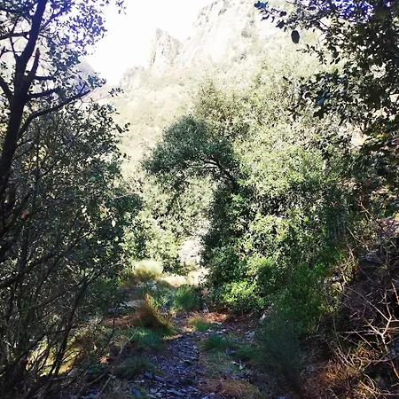 펜션 Dometcheque - Nature & Hiking Retreat In Occitania Saint-Genies-de-Varensal
